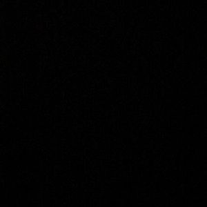 Meet your Posher, Jazmine